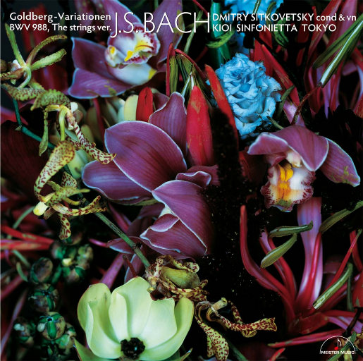 农村高龄老头老女人日逼伦理a片
